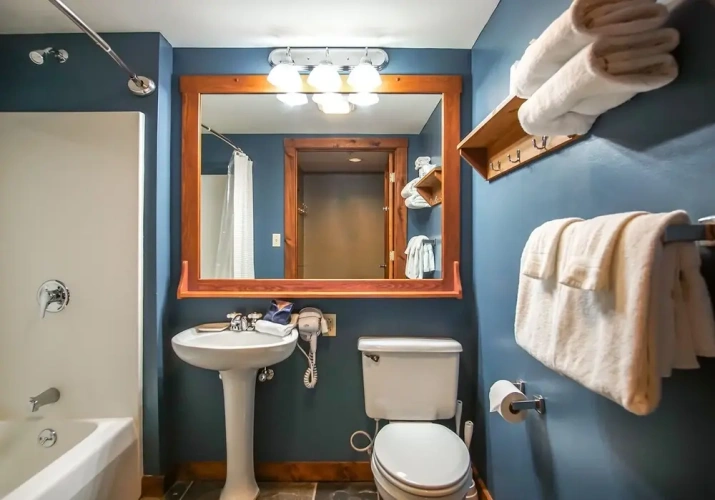 1 Bedroom Double Studio with mountain view