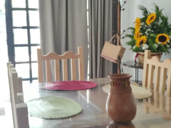 casa mango