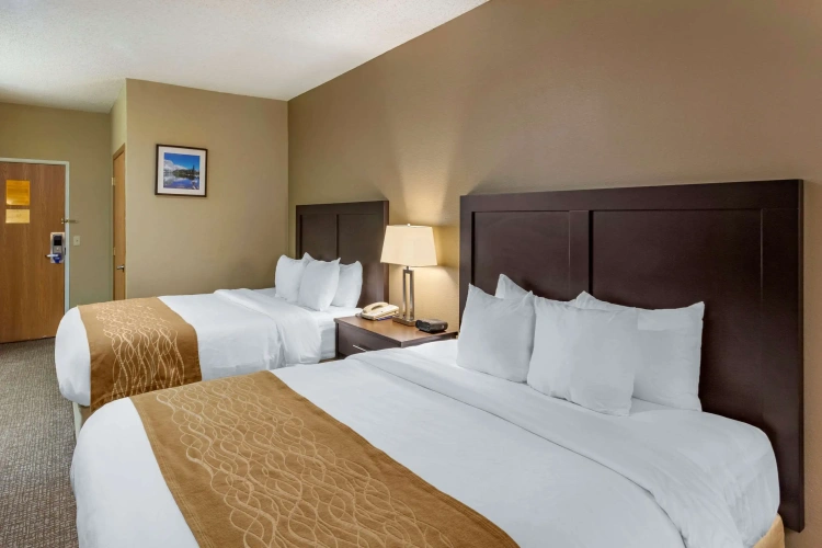 Standard Quadruple room