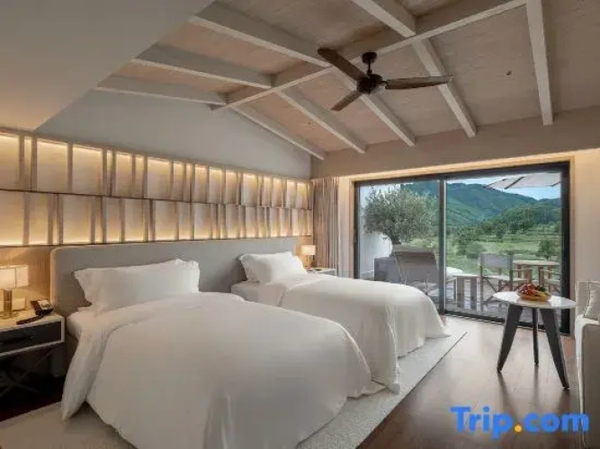 Standard Double room with mountain view