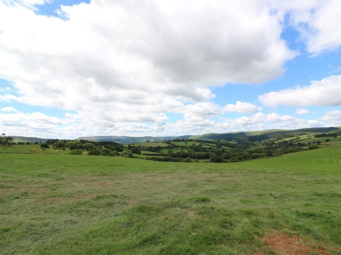 Shepherd's View