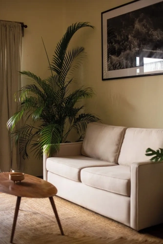 1 Bedroom Premier Suite