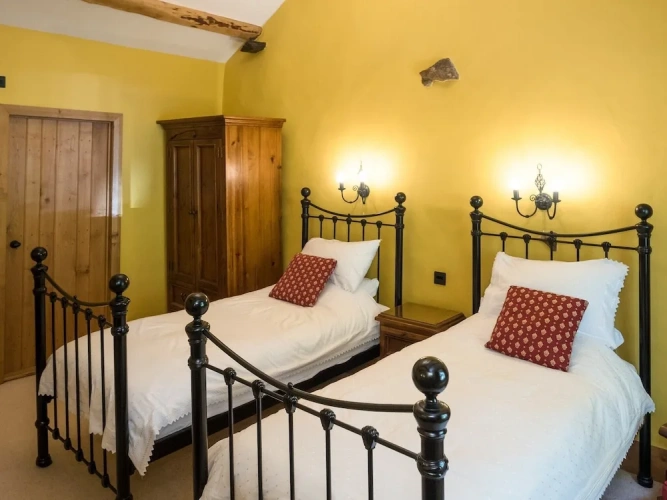 Deluxe Twin room with garden view