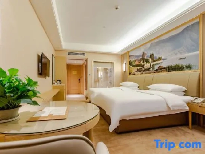 Standard Twin Family Suite