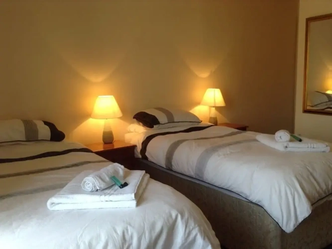 Standard Twin room with garden view