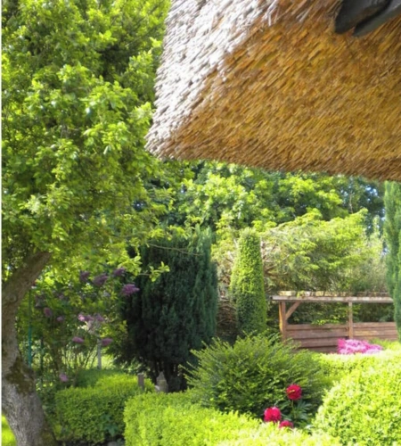 Cottage