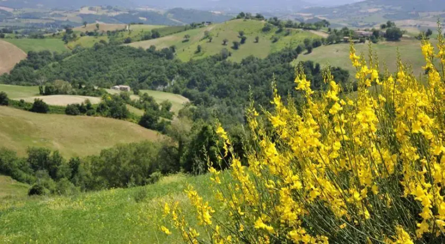 Casa Tartufo