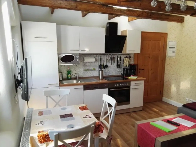 Apartment with garden view