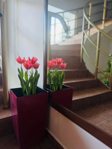 Фотография номера гостиницы Усадьба Еловое