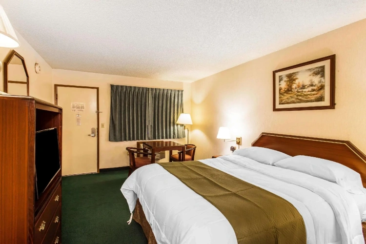 1 Bedroom Standard Double room