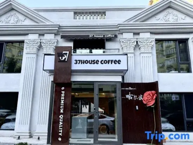 Floral&nbsp;Hotel·Harbin 37housecoffee Hotel