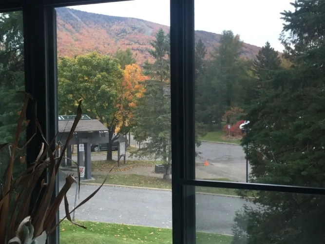 1 Bedroom Standard room with mountain view