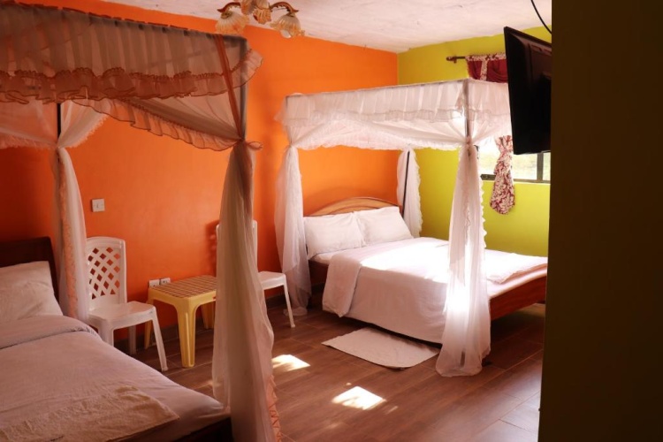 Economy Double room