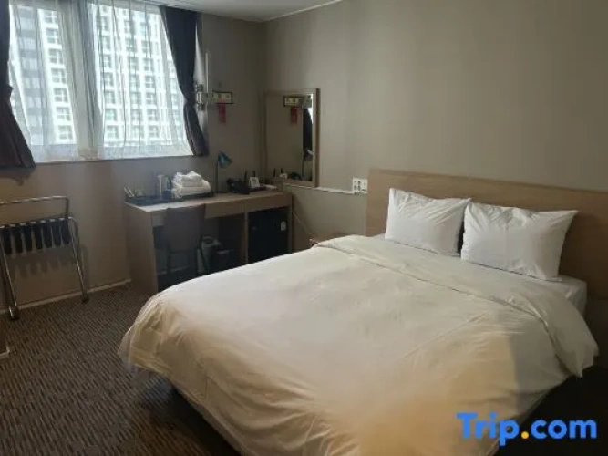 Standard Twin Family room
