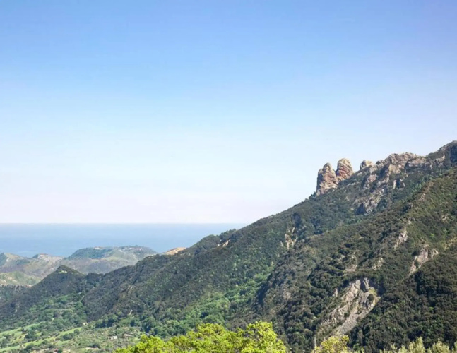 B&B Magia dell'Aspromonte
