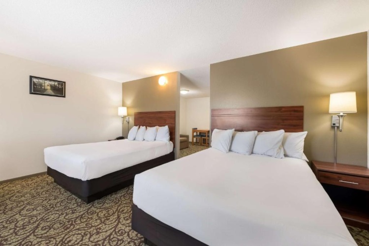 Quadruple Suite