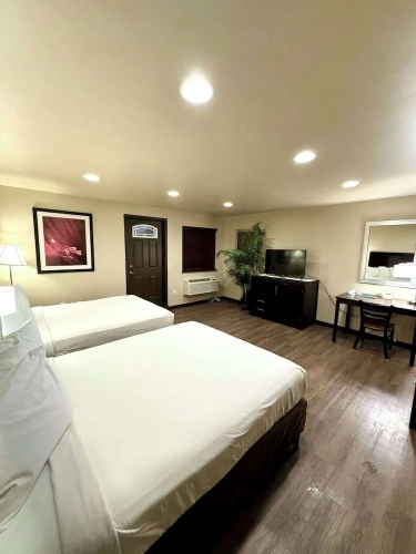 Premium Quadruple Family Suite