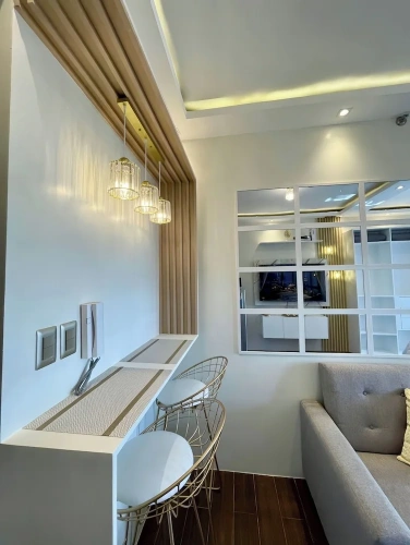 Luxury Apartment