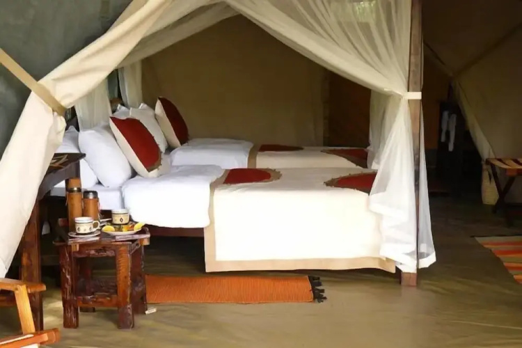 Mara Bush Camp