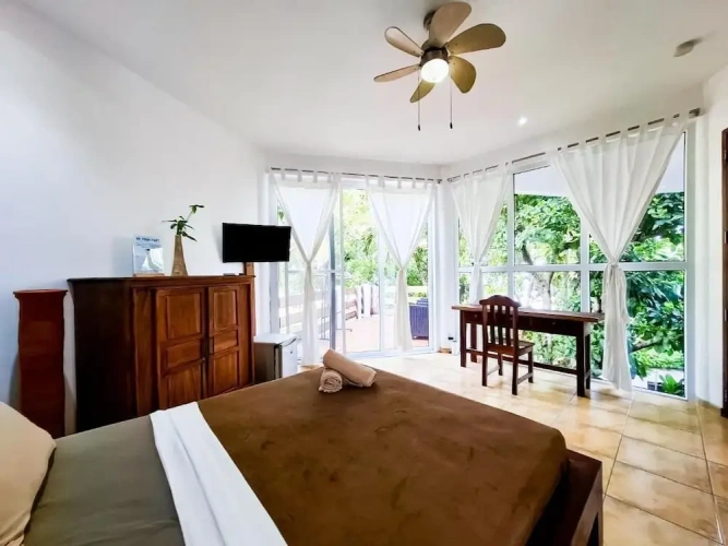 1 Bedroom Standard Double room beachfront