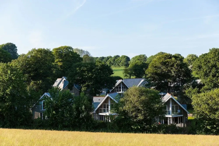 Trewhiddle Cottage 42