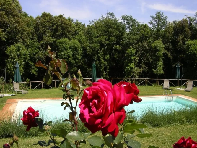 2 Bedrooms Double Apartment