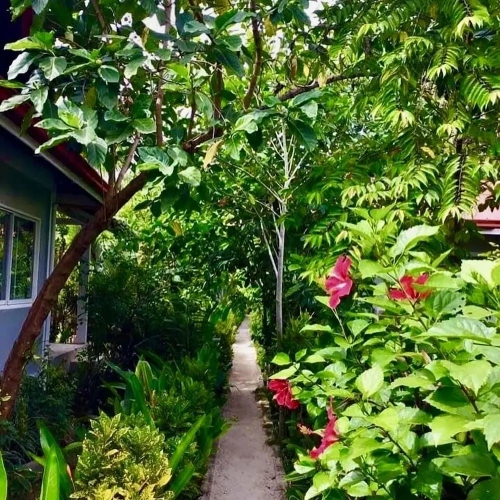1 Bedroom Cottage