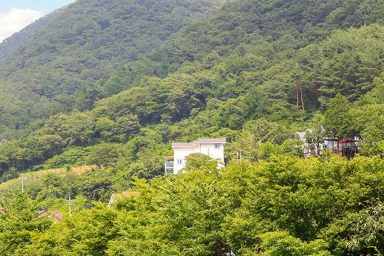 Yangsan Bene Maru Pension