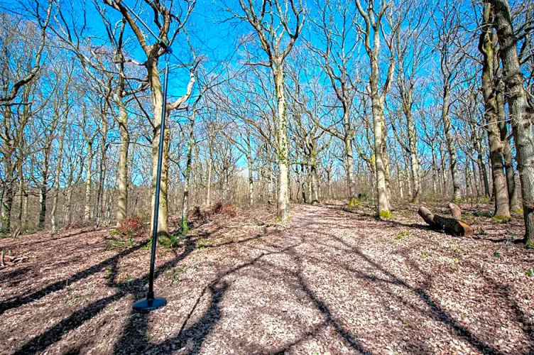 Oakside Tree Tops