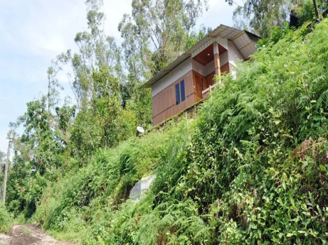 Snowdrops Homestay