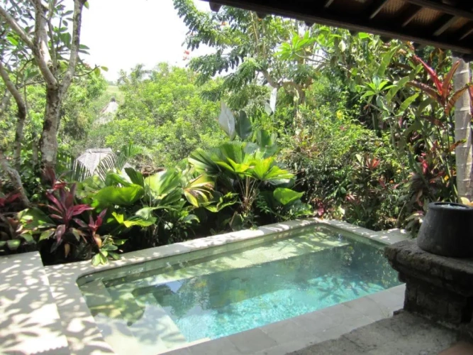 1 Bedroom Villa