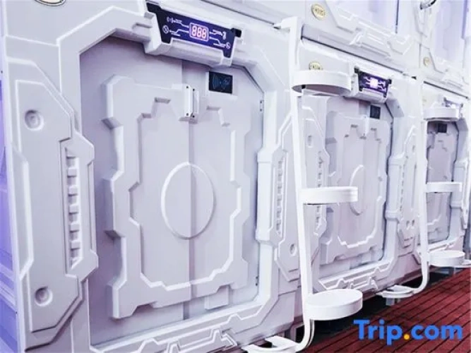Standard Capsule