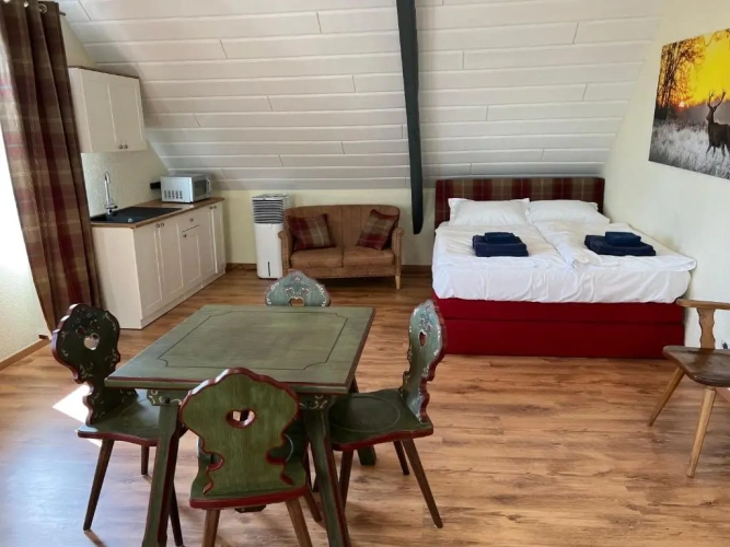 Double Family Apartment