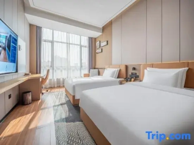 Superior Twin room with city view
