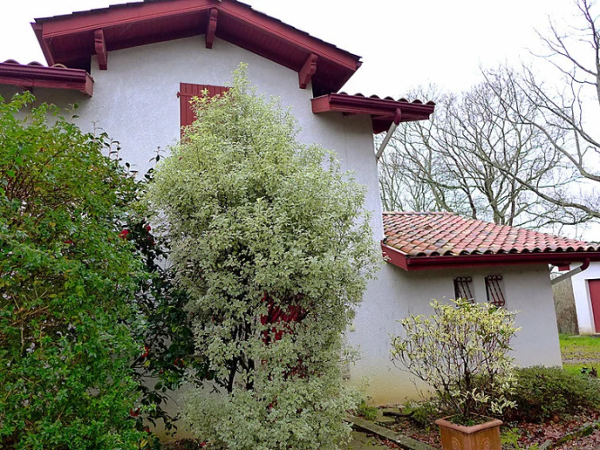 Holiday Home Eki Alde