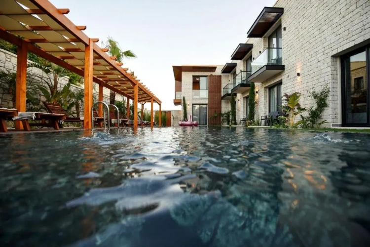 Standard Double room with pool view