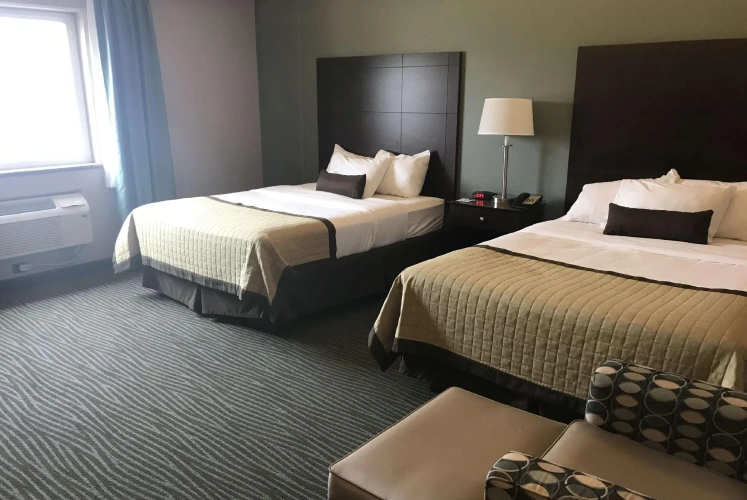 Business Quadruple room with city view