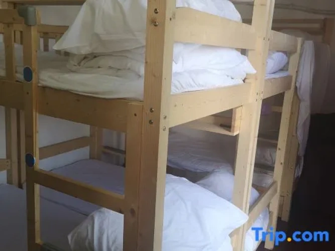 Bed in Dorm (female dorm)