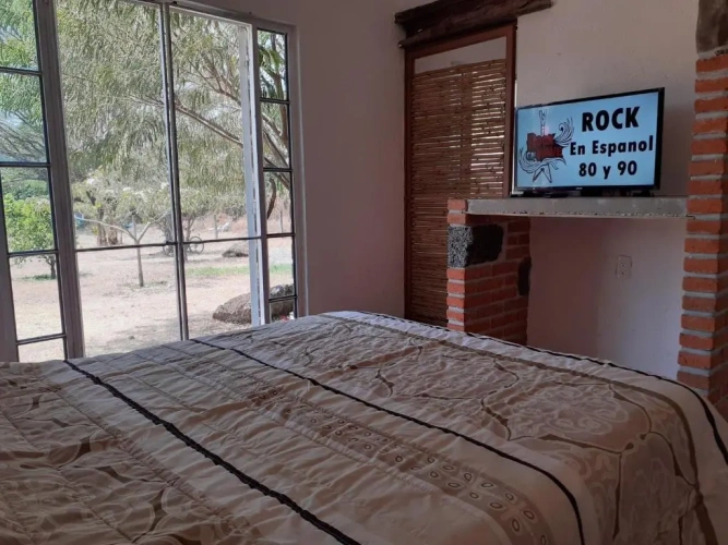 Standard Double room with garden view