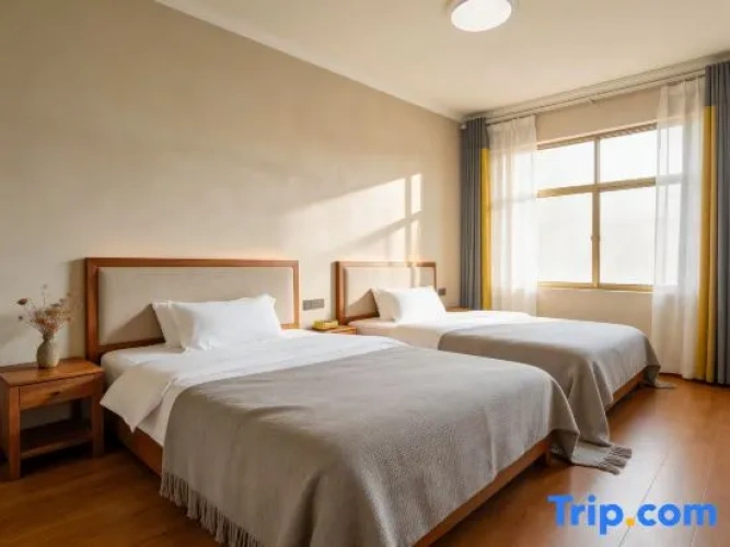 Twin Family Suite