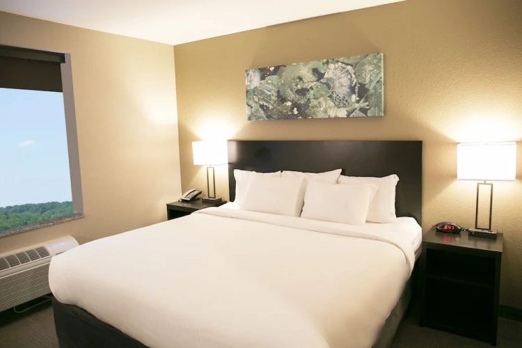 Standard Double Suite