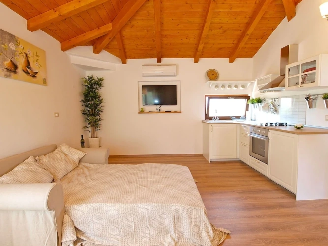1 Bedroom Standard Studio