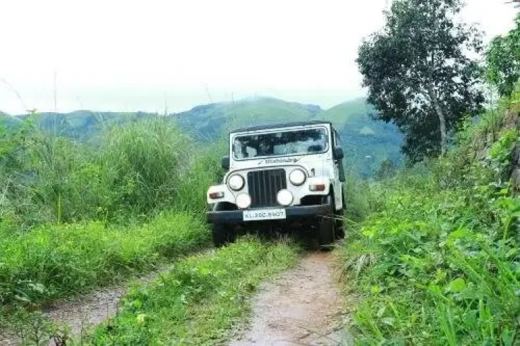 Vagamon Paradise
