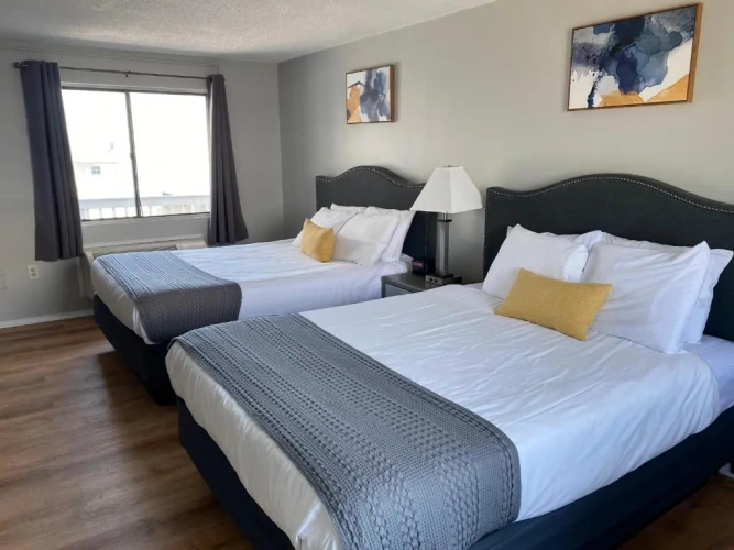 Standard Double room with pool view