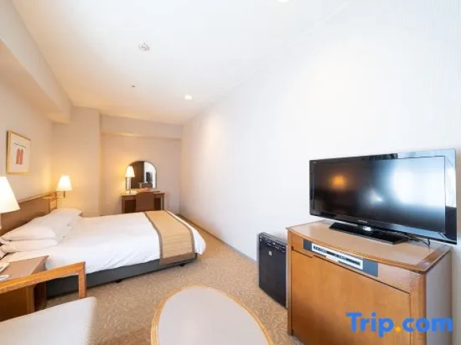 Standard Double Family room