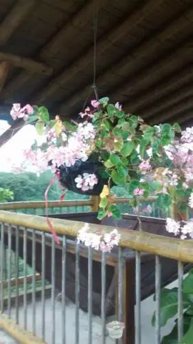 Finca el Diamante