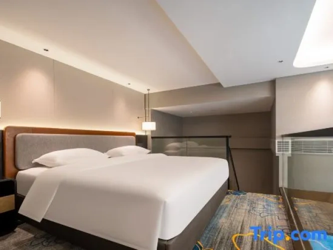 Duplex Suite