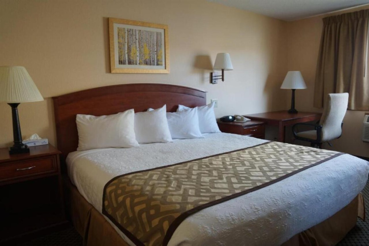 Luxury Inn And Suites