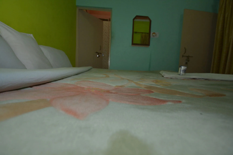 Pyrenees Homestay