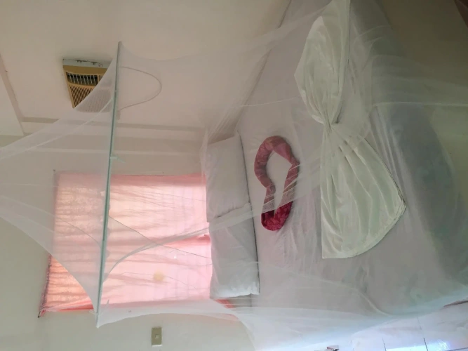 Standard Triple room with garden view